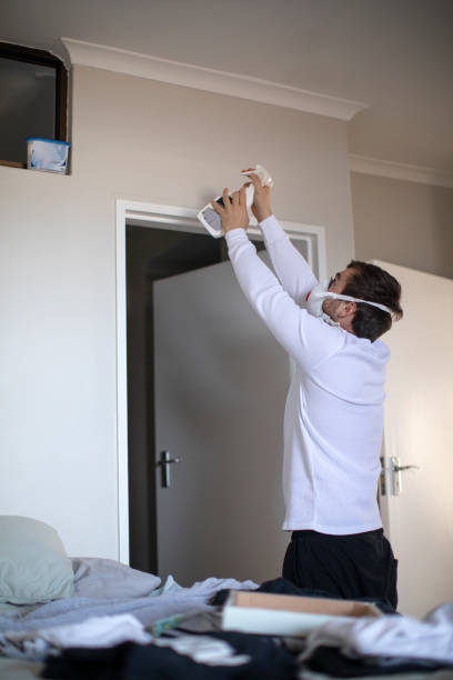 Best Dehumidification Services  in Rochelle, IL