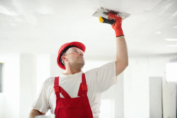 Best Airborne Mold Testing  in Rochelle, IL