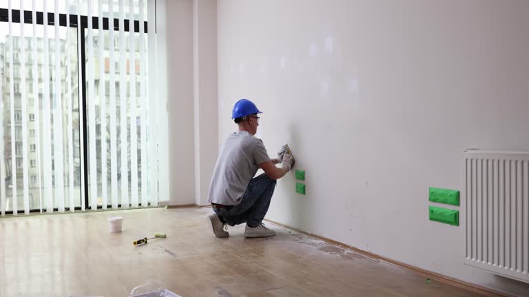 Best Industrial Mold Remediation  in Rochelle, IL