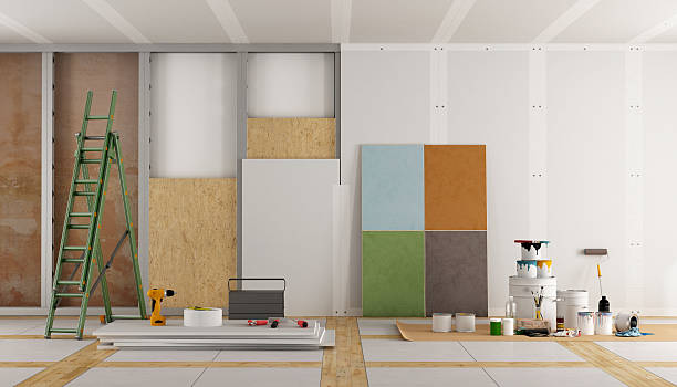 Best Black Mold Removal  in Rochelle, IL