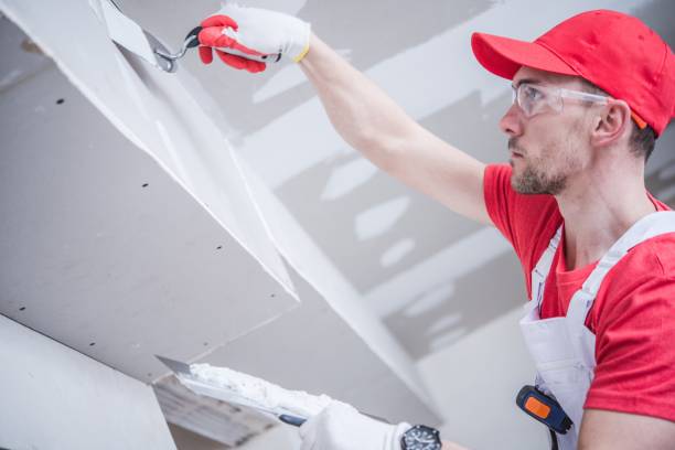 Best Mold Remediation for Healthcare Facilities  in Rochelle, IL